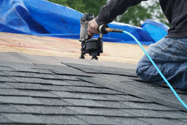 Best Steel Roofing  in Curwensville, PA
